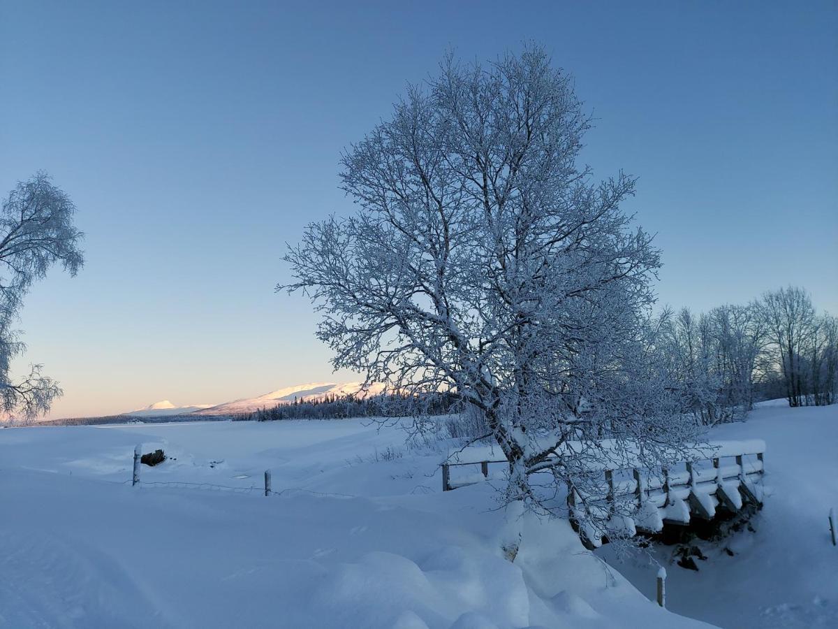 Villmarksgard Tommerstue Hattfjelldal Екстериор снимка