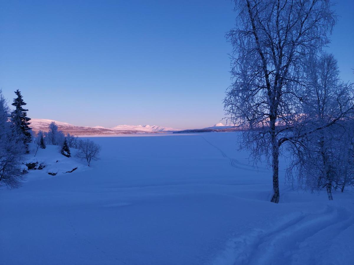 Villmarksgard Tommerstue Hattfjelldal Екстериор снимка